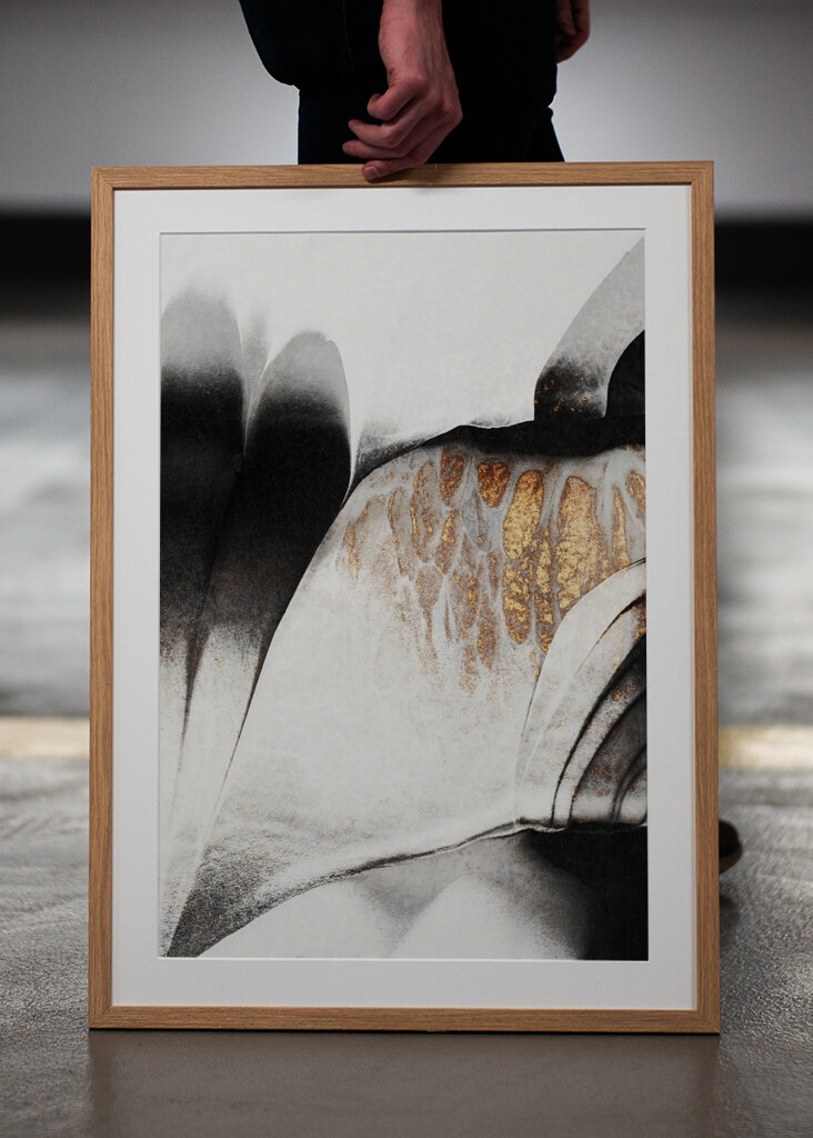 Zlaté žíly #2231928