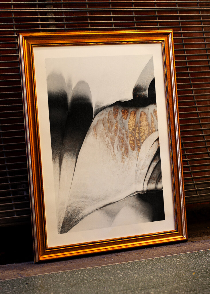 Zlaté žíly #2231928