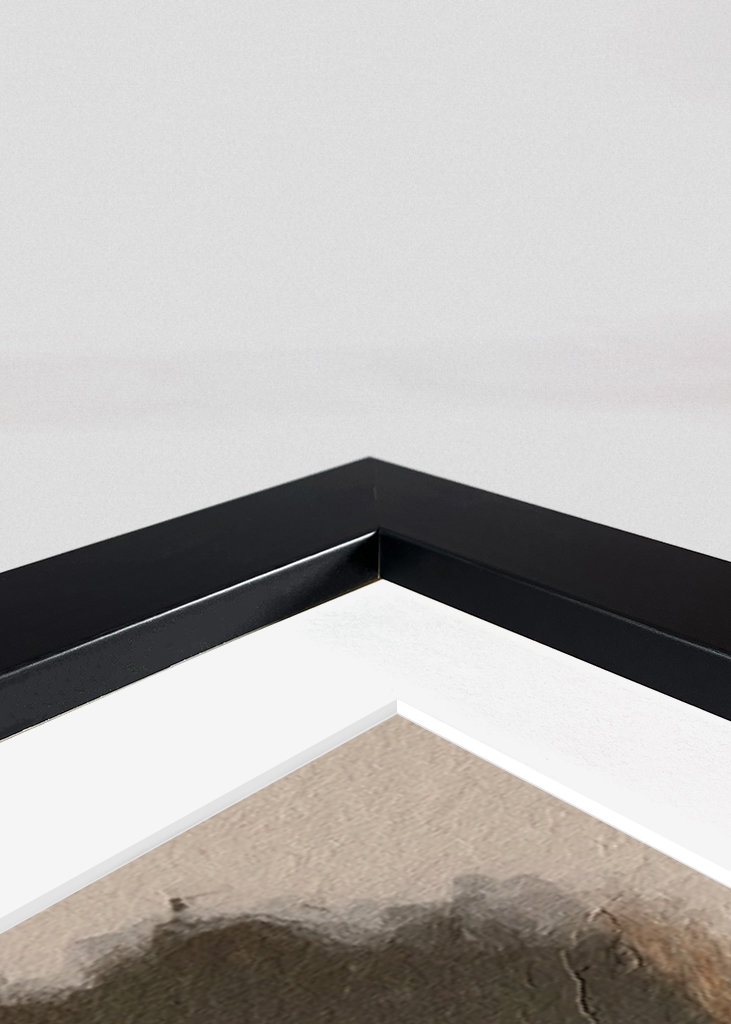 Majesteettinen pitbull univormussa