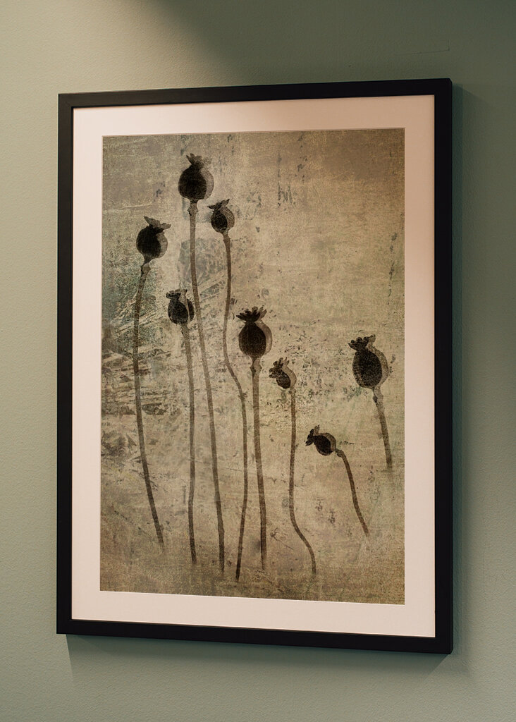 Valmueplanter #1383271