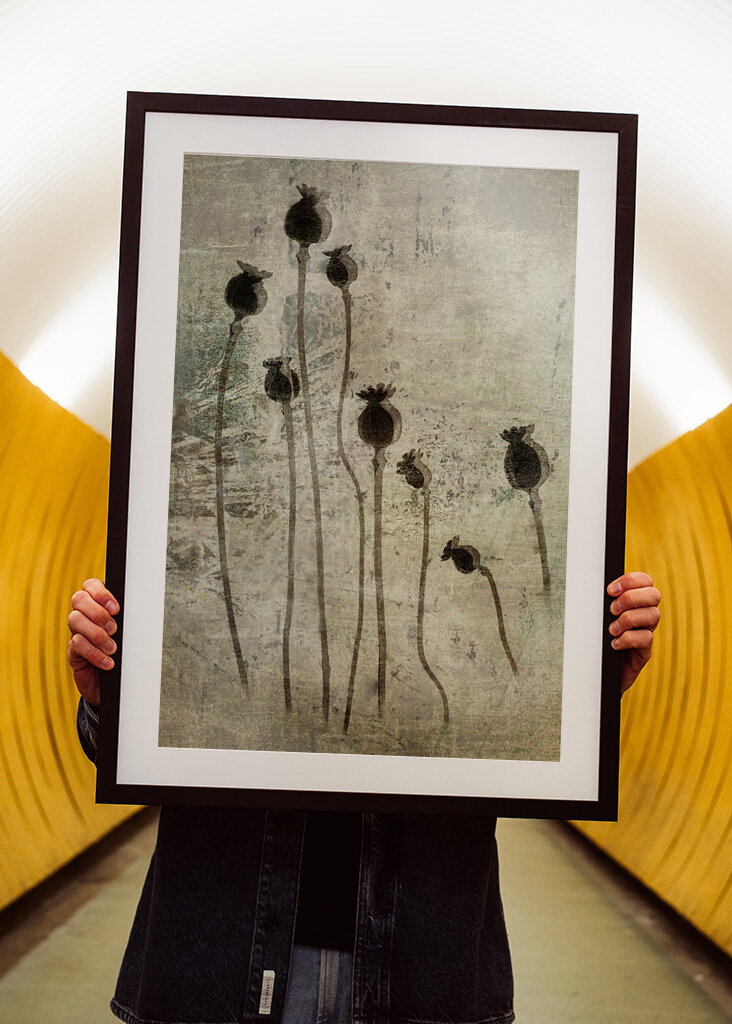 Valmueplanter #1383271