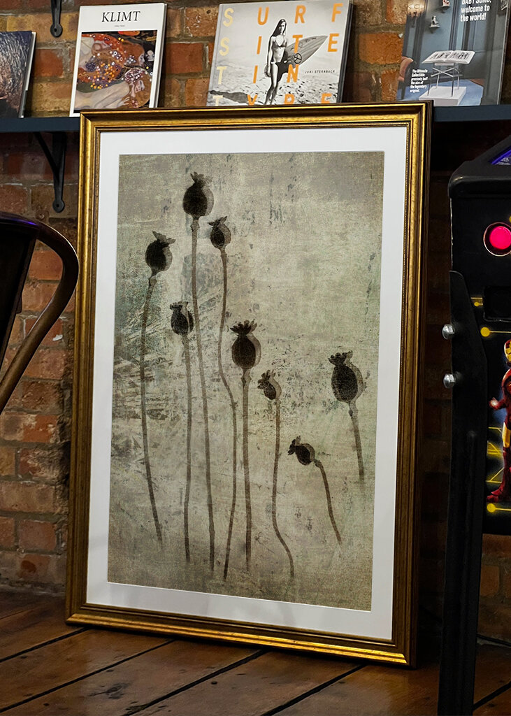 Valmueplanter #1383271