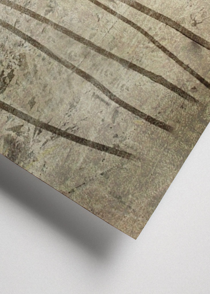 Valmueplanter #1383271