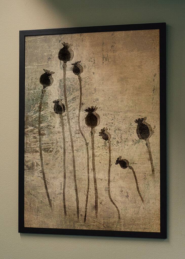 Valmueplanter #1383271