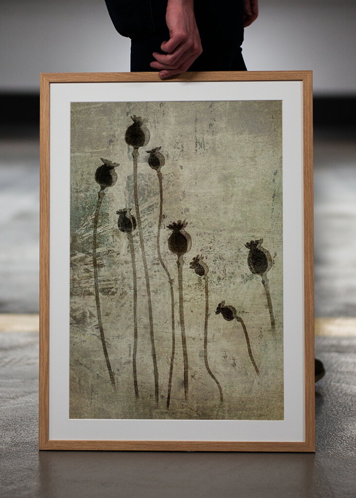 Valmueplanter #1383271