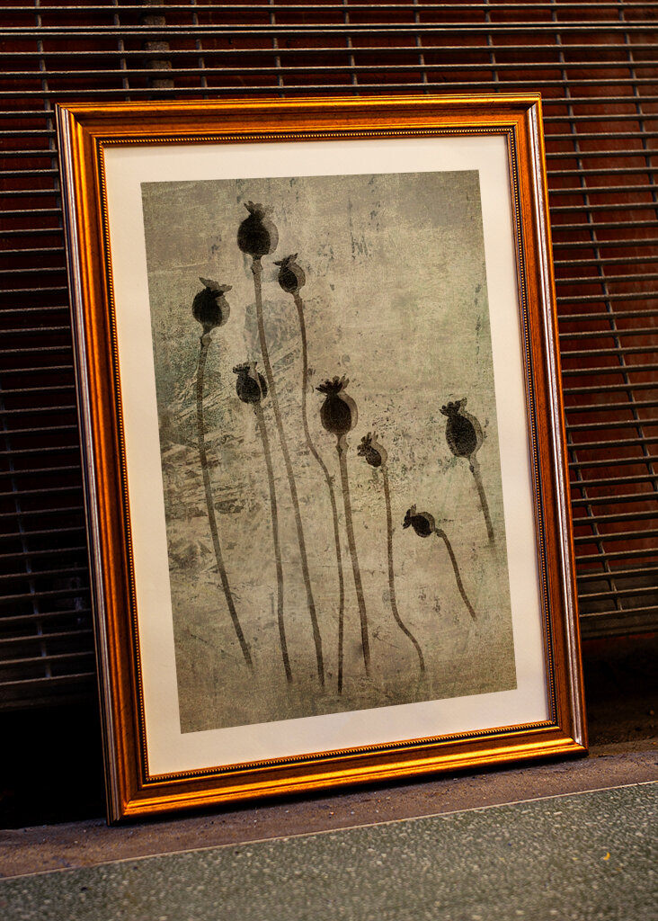 Valmueplanter #1383271