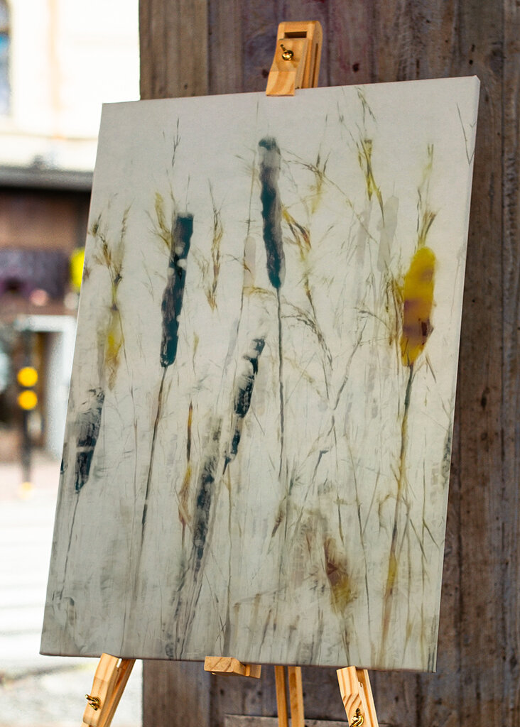 Espadaña y juncos #1806871