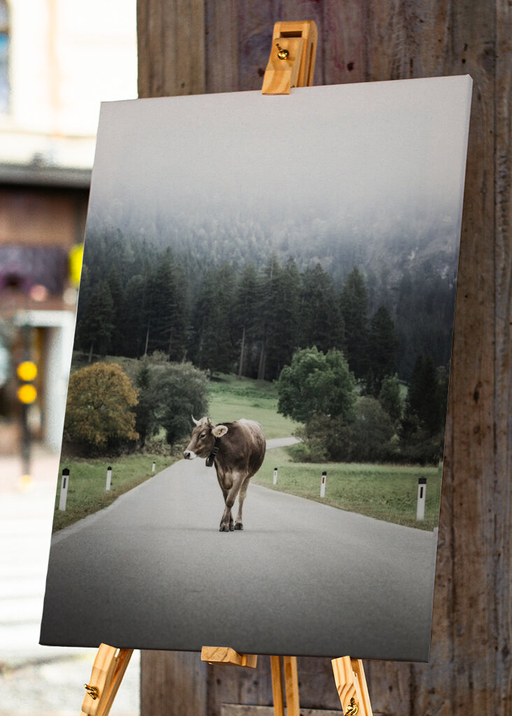 Alone in the wide open spaces