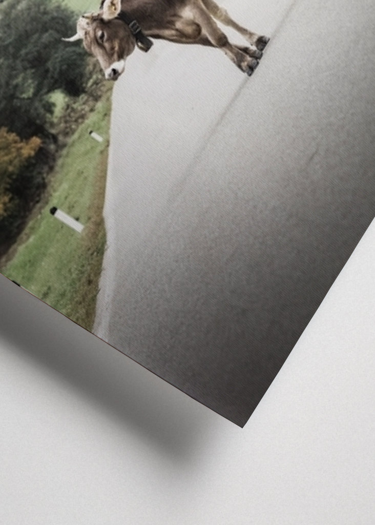 Alone in the wide open spaces