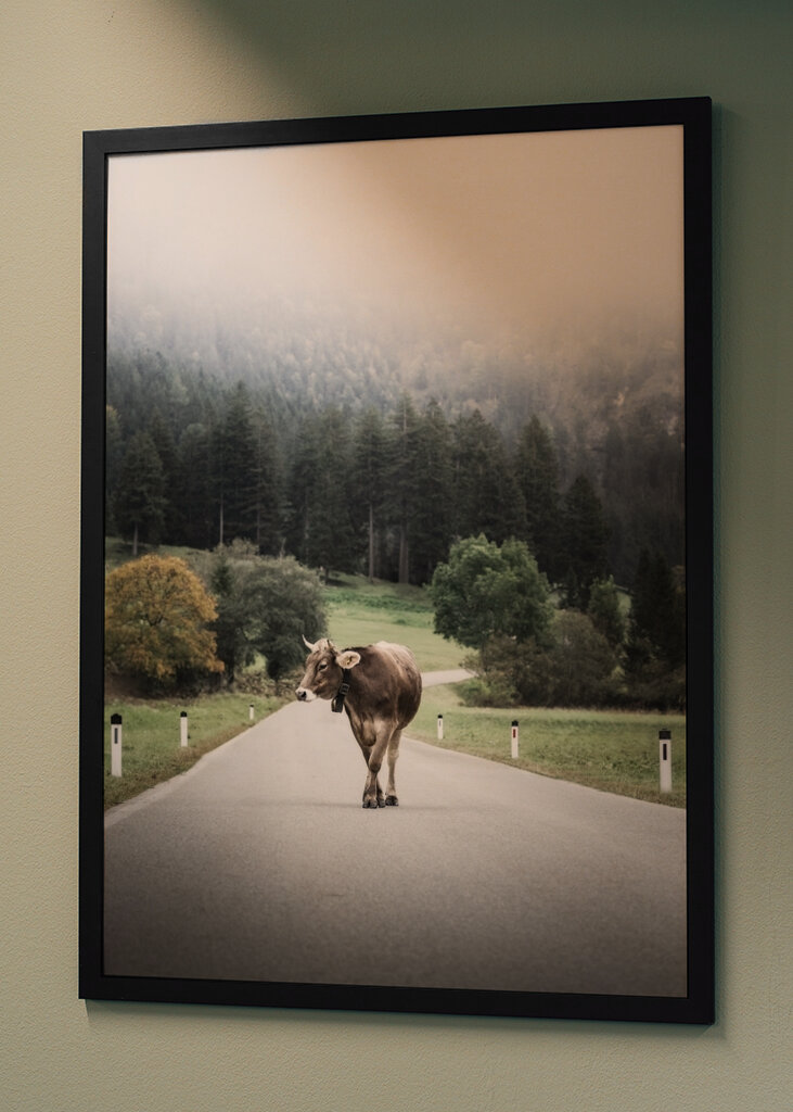 Alone in the wide open spaces