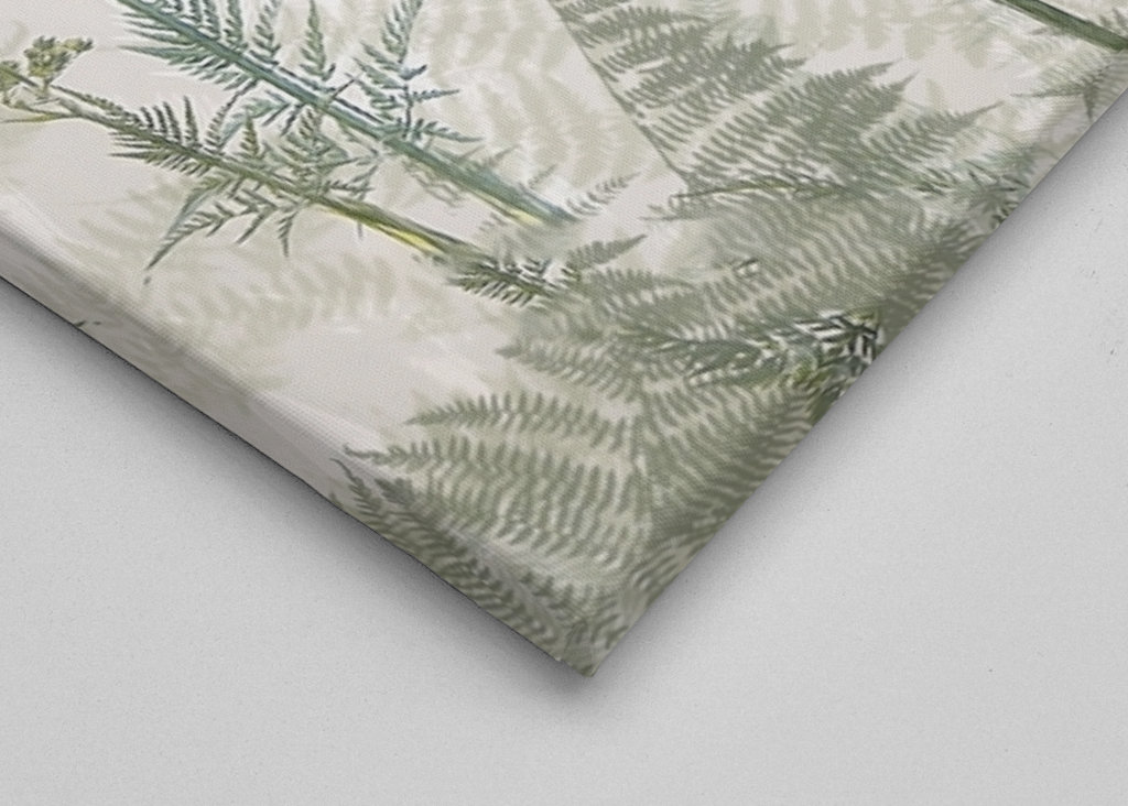 Ko persille #2301877