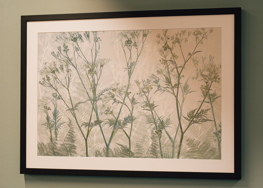 Ko persille #2301877