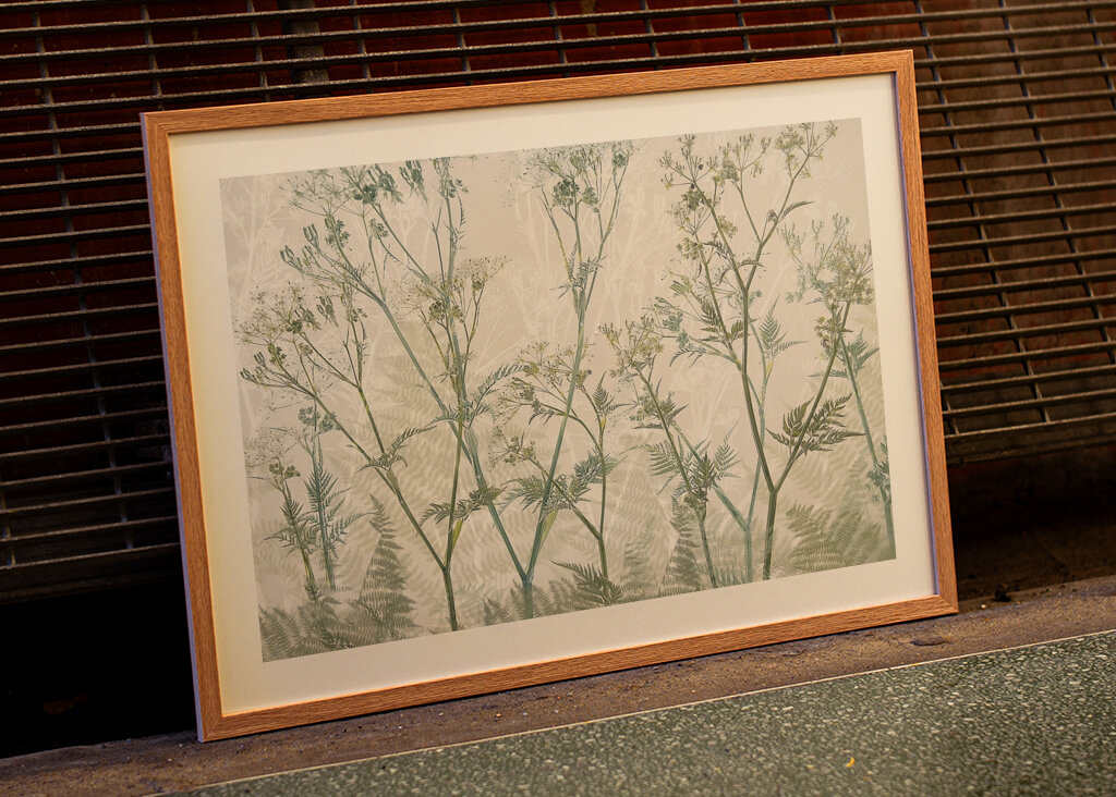 Ko persille #2301877