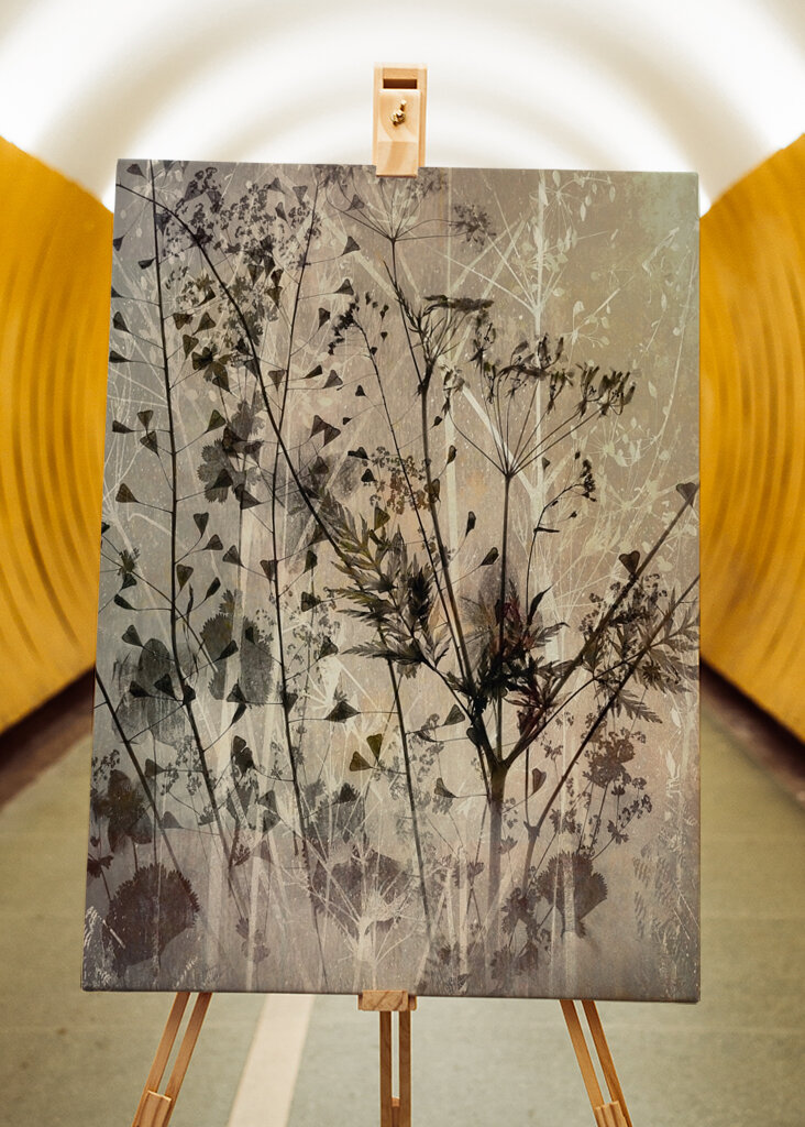 Bouquet des champs #2591541