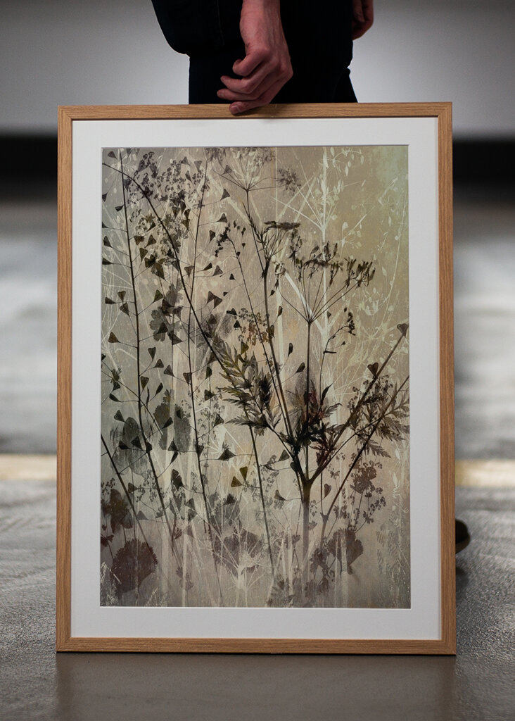 Bouquet des champs #2591541