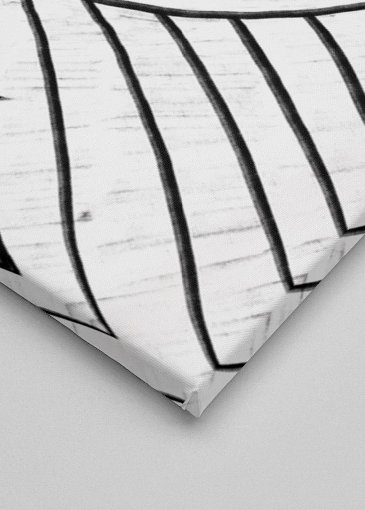 Kvinnen med svart-hvitt #2833217