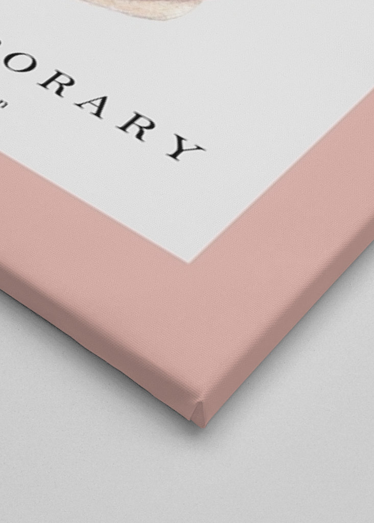 Non Arte Sea Shell no.2