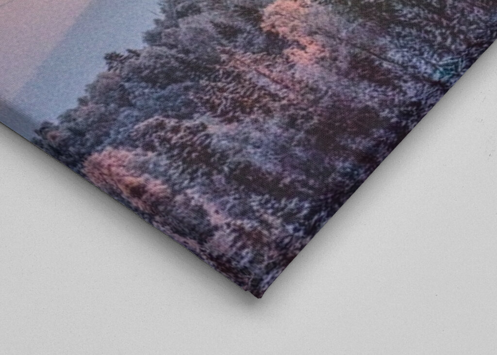 the white frost of the morning