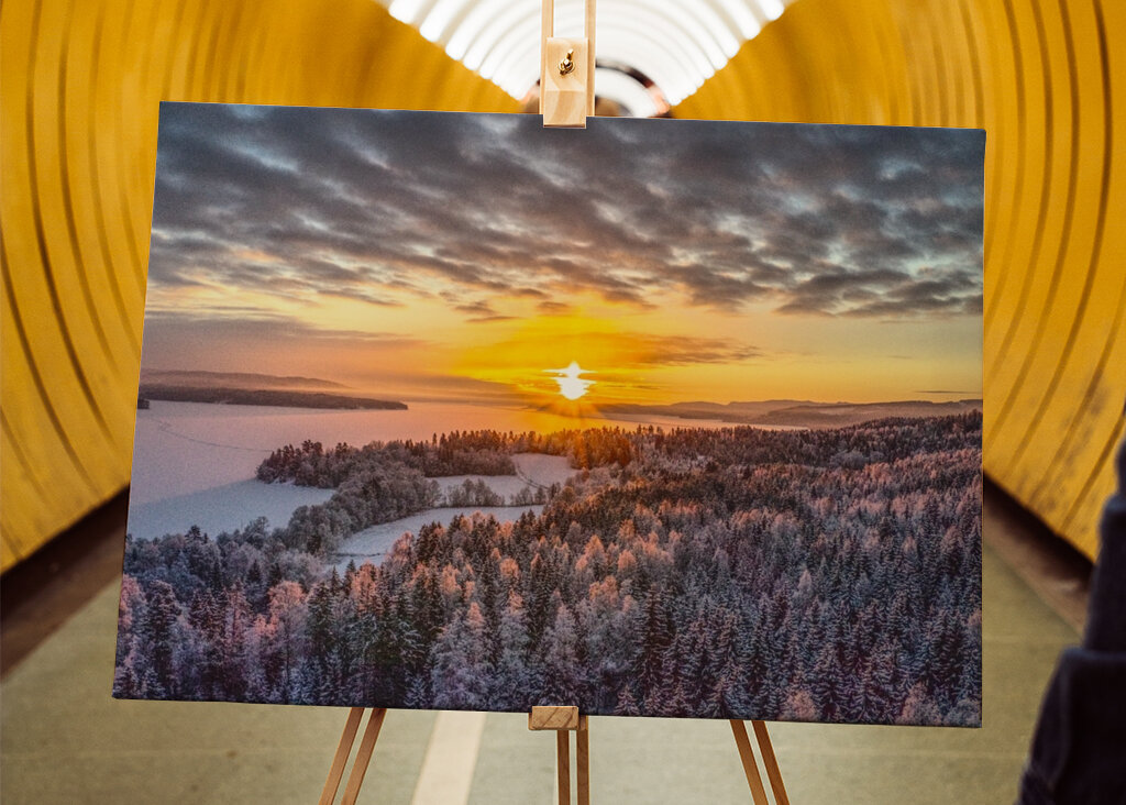 the white frost of the morning