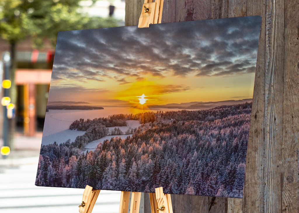 the white frost of the morning