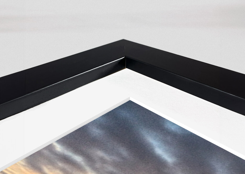 the white frost of the morning