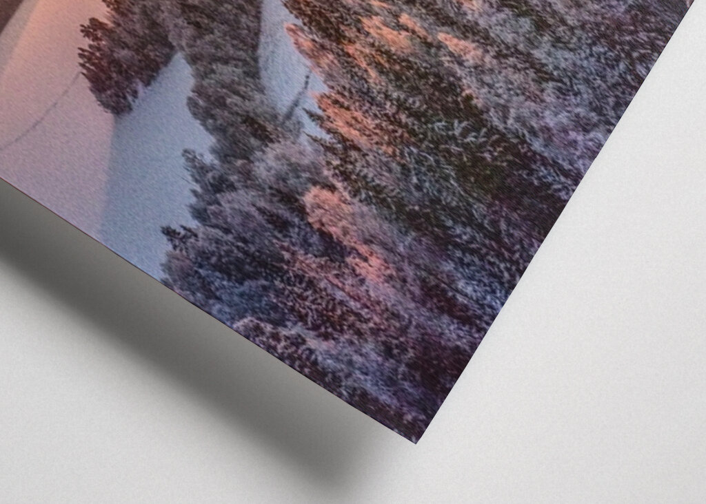 the white frost of the morning