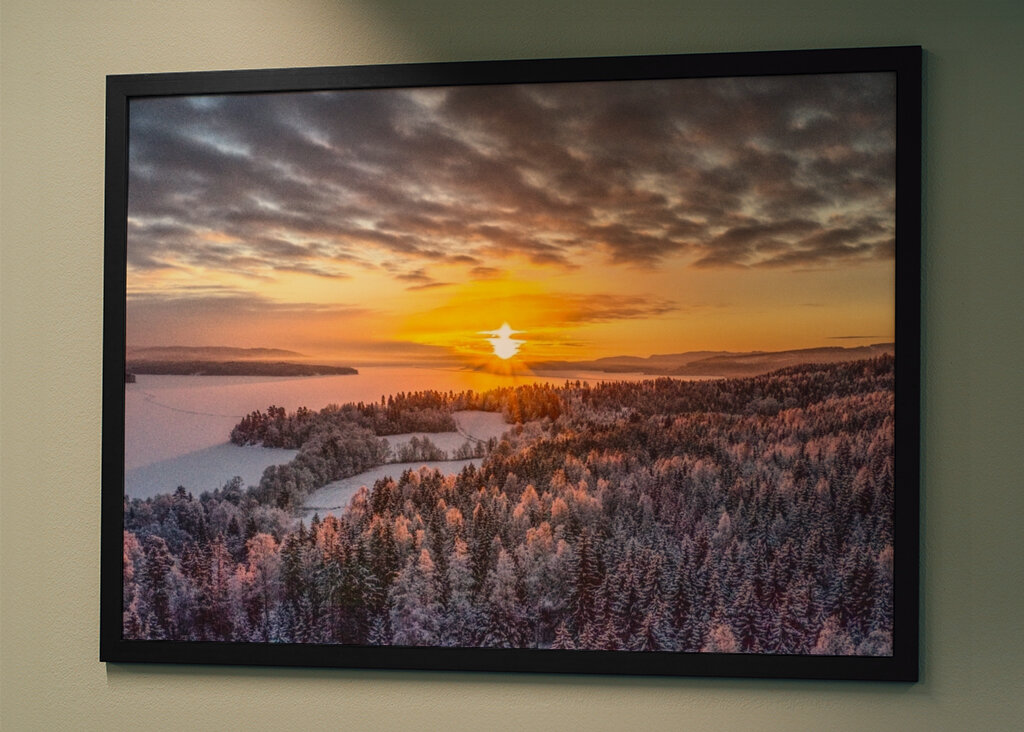 the white frost of the morning