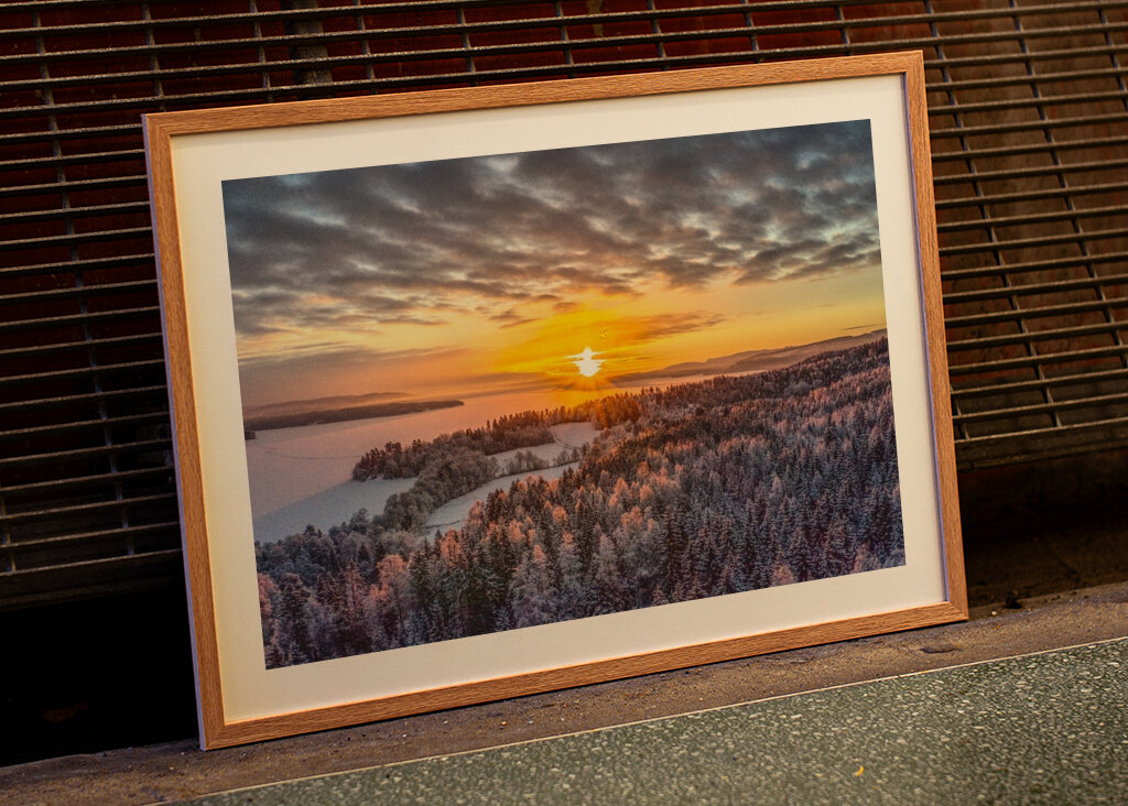 the white frost of the morning