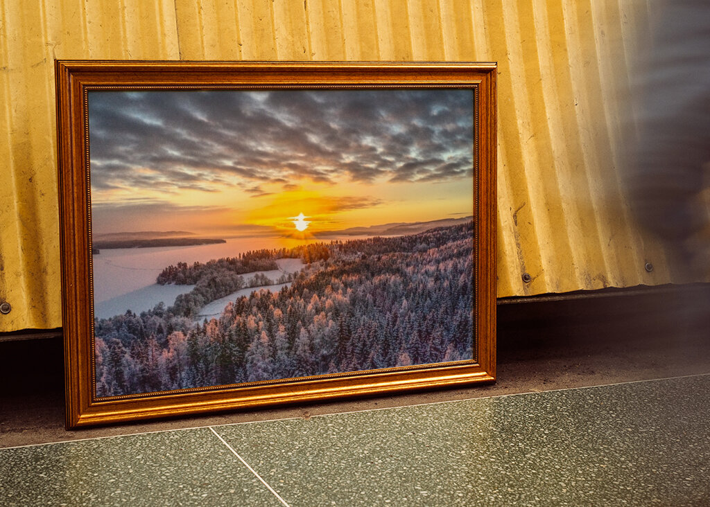 the white frost of the morning