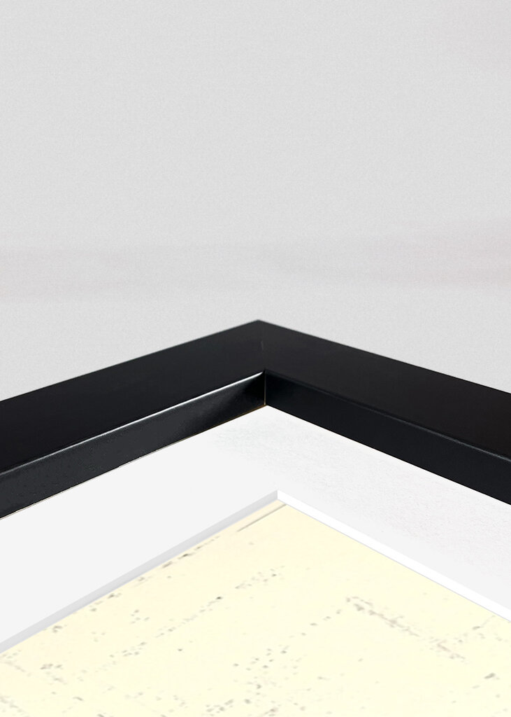 Bonsai Vintage Japanische Kunst