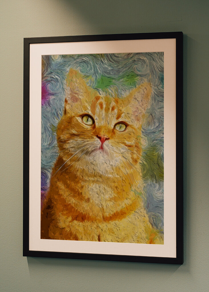 Oranssi kissan maalaus