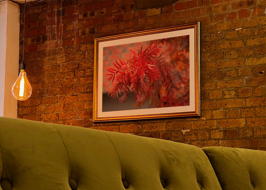 Glowing autumn colors