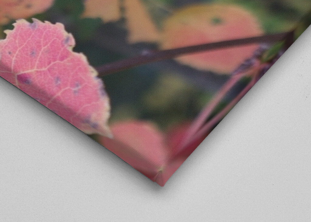 Barevný list na uvítanou