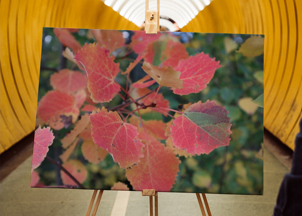 Barevný list na uvítanou