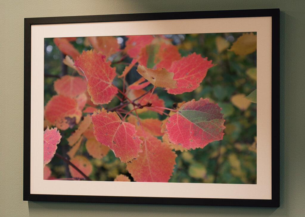 Barevný list na uvítanou