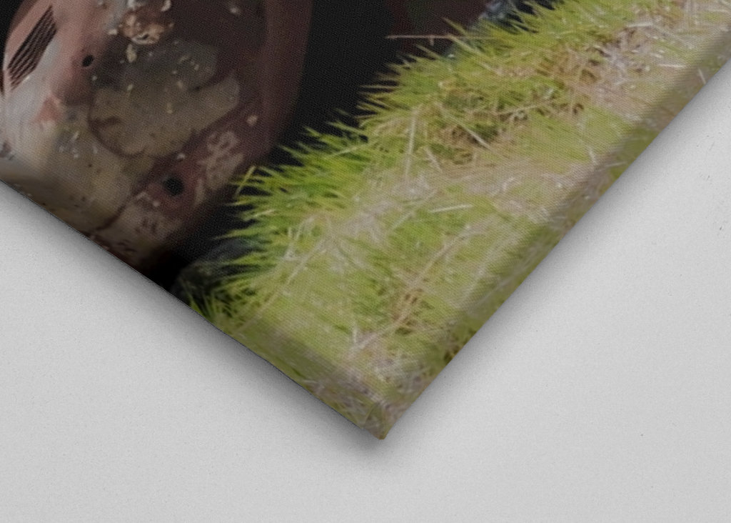 Zaparkovali jste nesprávně?