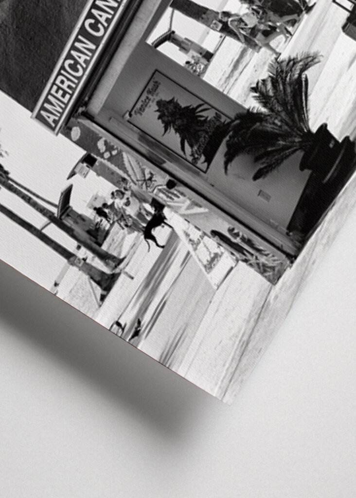 American Cannabis Venice Beach