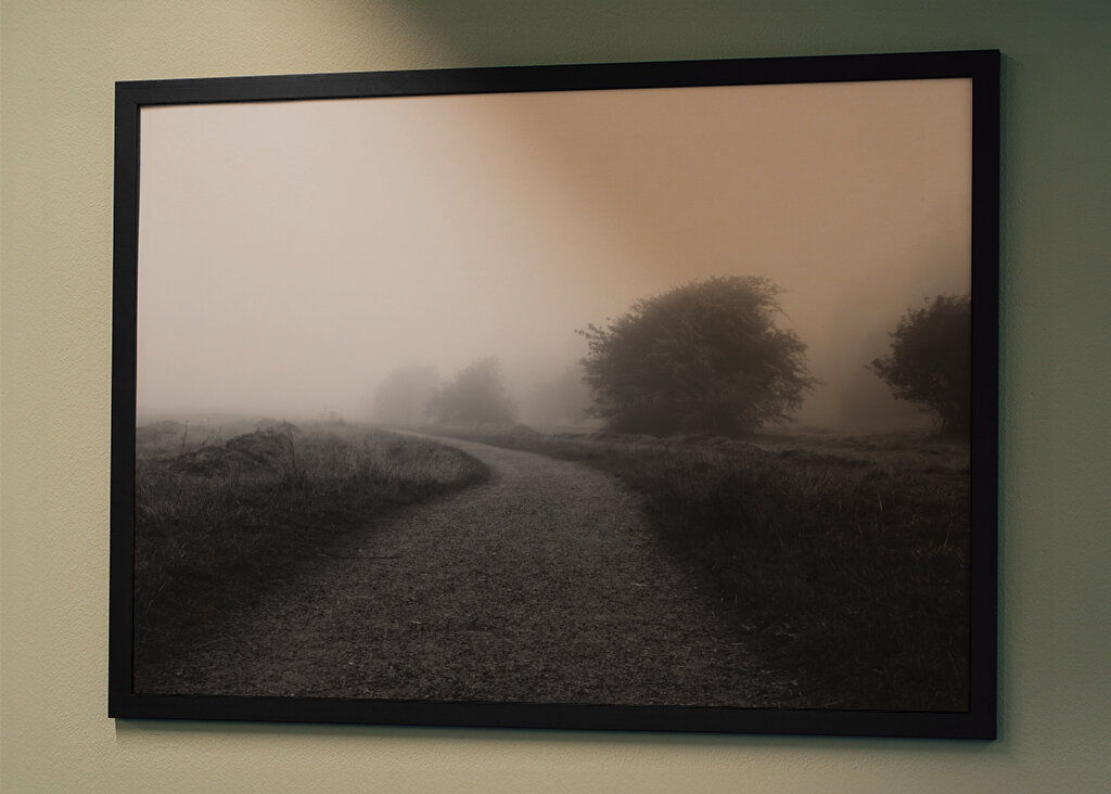 The road in the fog