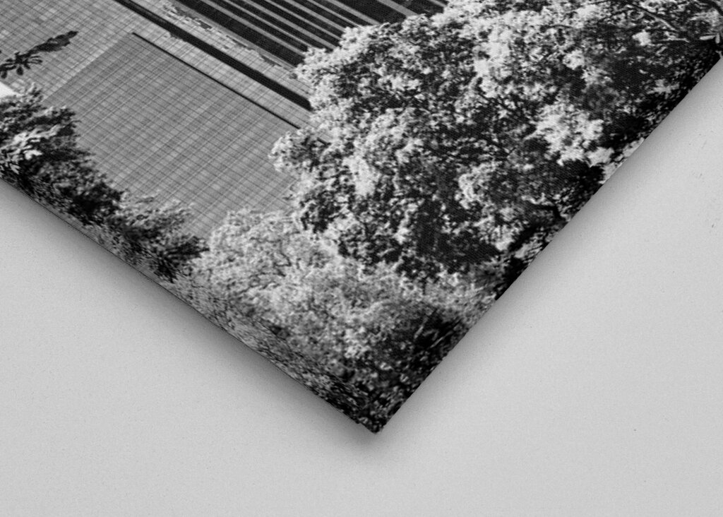 A Central Park épületei