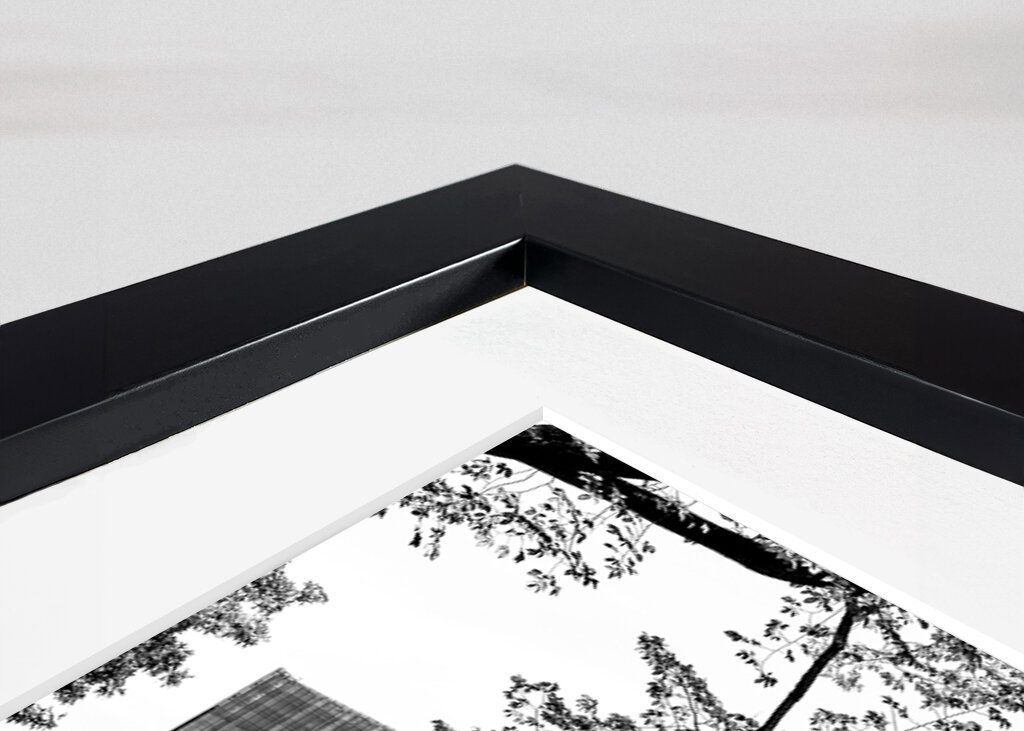 A Central Park épületei