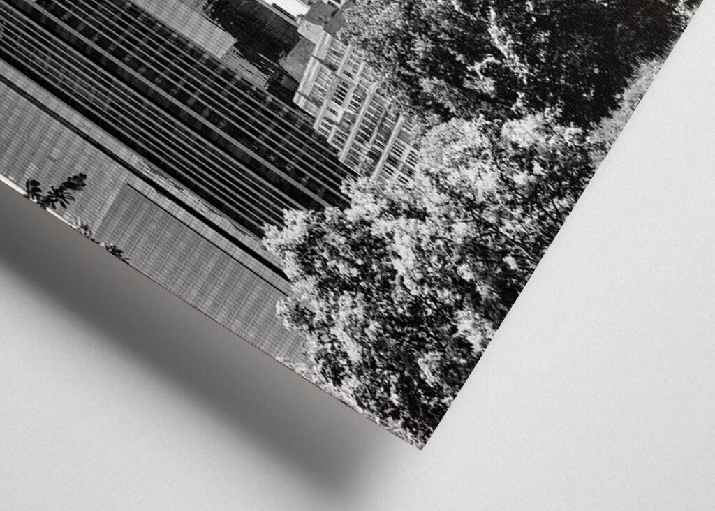 A Central Park épületei