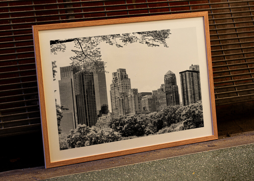 A Central Park épületei