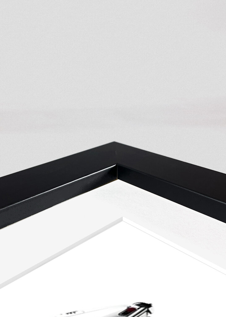 Porsche 911 Evolution