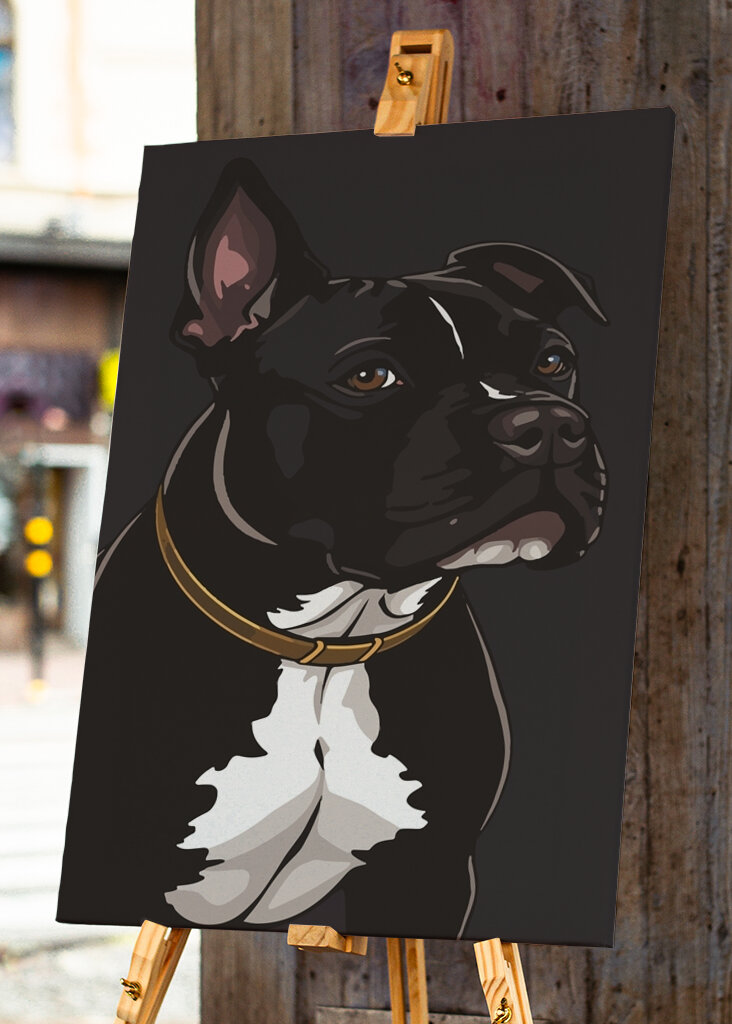 Tyylikäs ja persoonallinen koira 