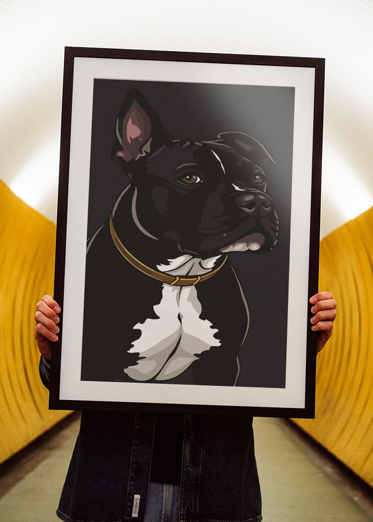 Tyylikäs ja persoonallinen koira 