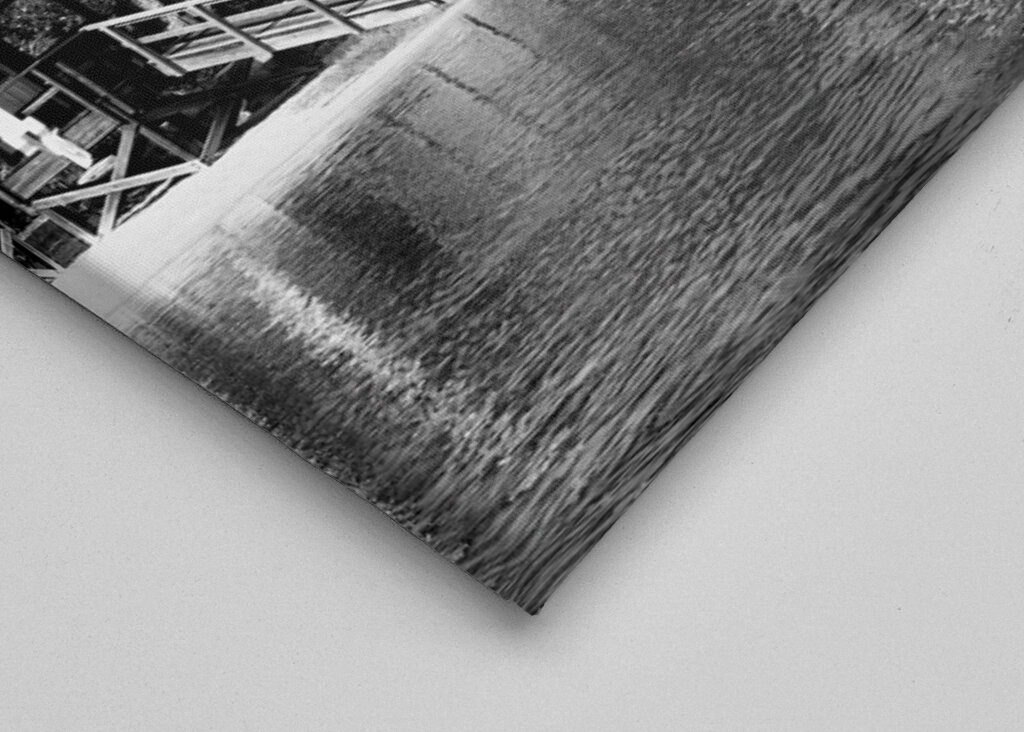 Vild strand med utsikt över Miami