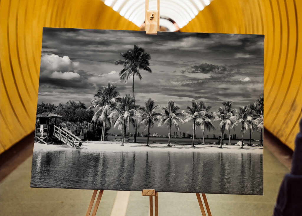 Vild strand med utsikt över Miami