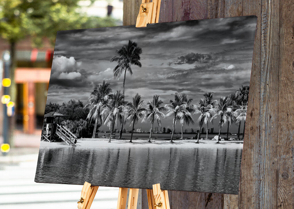 Vild strand med utsikt över Miami