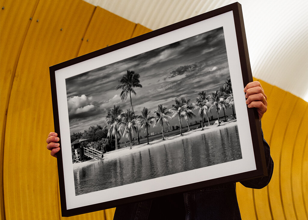 Vild strand med utsikt över Miami