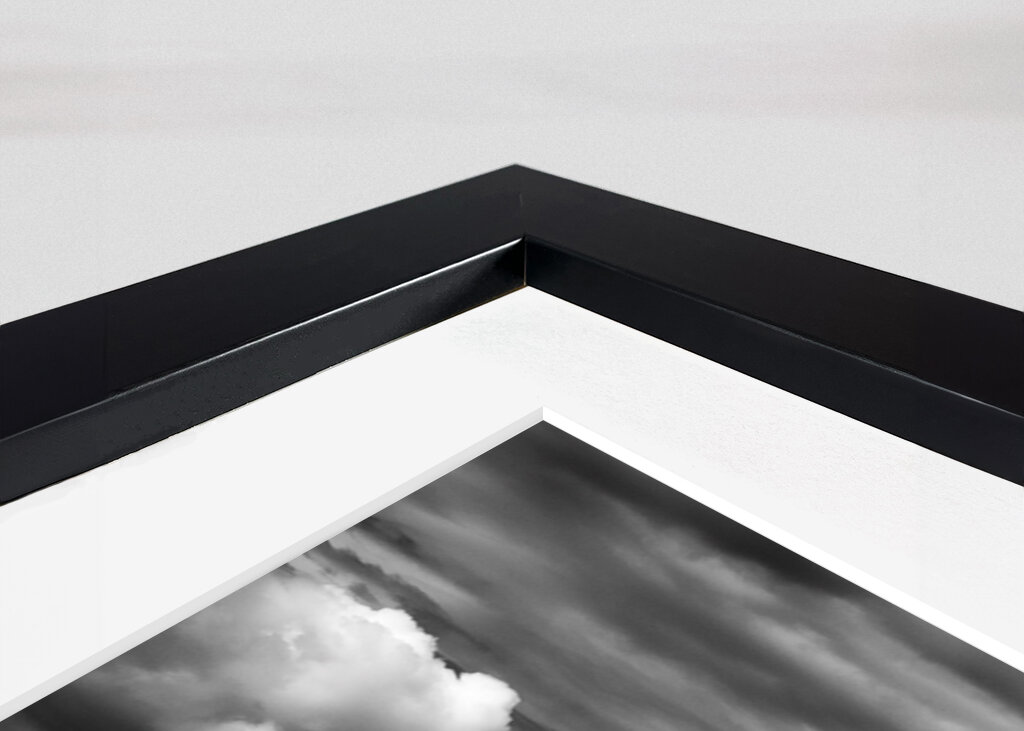 Vild strand med utsikt över Miami